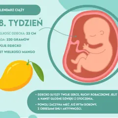 18 tydzień ciąży: jak wygląda dziecko i co warto wiedzieć o jego rozwoju