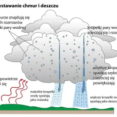 Jak powstaje deszcz? Proste wyjaśnienie dla przedszkolaków z ciekawymi eksperymentami
