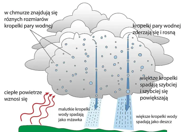 Jak powstaje deszcz? Proste wyjaśnienie dla przedszkolaków z ciekawymi eksperymentami