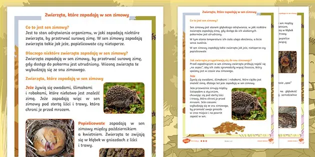 Zwierzęta które zasypiają na zimę – ciekawostki i zabawy dla przedszkolaków