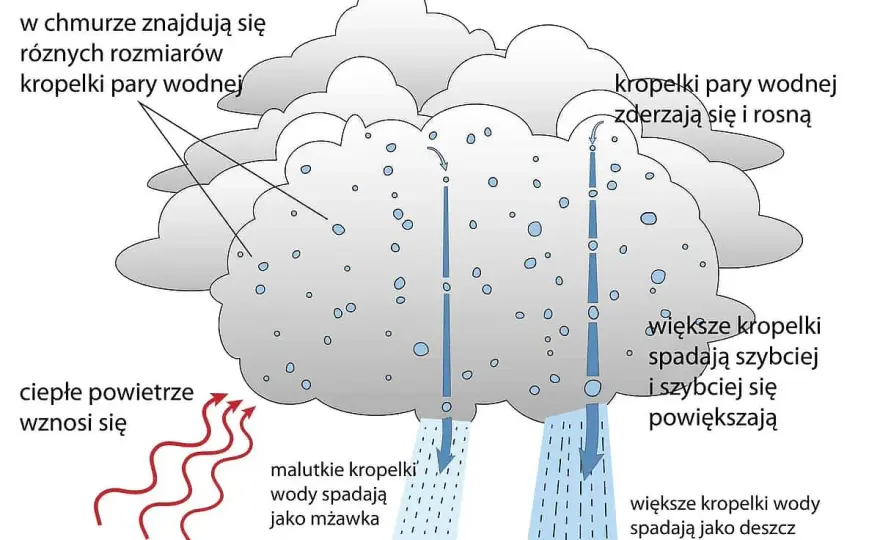 Jak powstaje deszcz? Proste wyjaśnienie dla przedszkolaków z ciekawymi eksperymentami