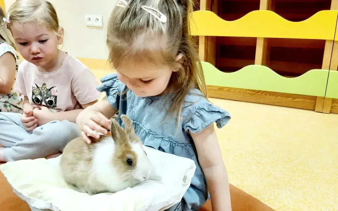 Zdjęcie Jak zachęcić dziecko do przedszkola? Skuteczne sposoby na niechęć i lęk
